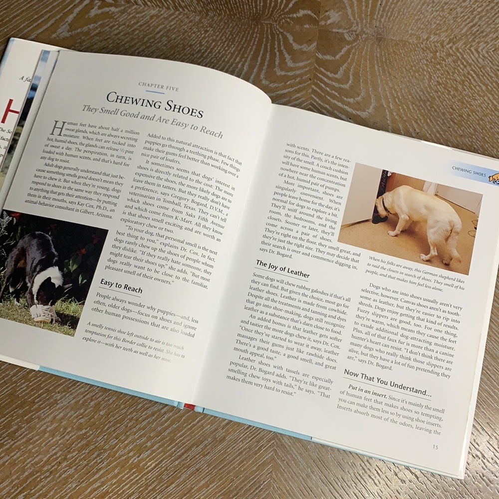PETS The Secret Lives of Dogs Real Reasons Behind 52 Mysterious Behavior Book - Picture 12 of 15